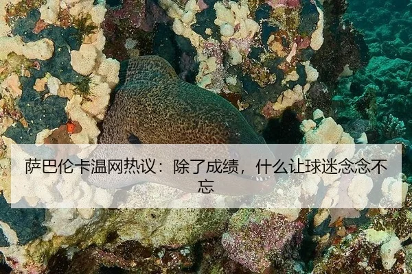 sa-ba-lun-ka-wen-wang-re-yi-chu-le-cheng-ji-shen-me-rang-qiu-mi-nian-nian-bu-wang-2-471.jpg